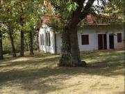 Case e ville in vendita di 500 m²