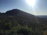 Case e ville in vendita di 500 m² in Via della Nievoletta