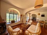 Case e ville in vendita di 5049 m² in Via della Pineta, 13