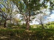 Case e ville in vendita di 50 m² in Contrada Salice, 1