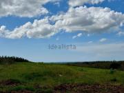 Case e ville in vendita di 550 m² in Strada Pescia...