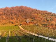 Case e ville in vendita di 5522 m² in Via Ambrogio Fogar, 14