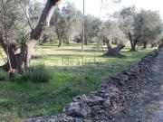 Case e ville in vendita di 55 m² in Contrada reni