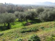 Case e ville in vendita di 600 m²