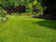 Case e ville in vendita di 600 m² in Via Asiago Case e ville in vendita di 600 m² in Via Asiago