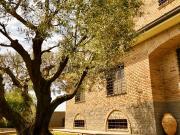 Case e ville in vendita di 600 m² in Via Sarnico