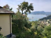 Case e ville in vendita di 605 m² in Piazza XXVII Dicembre