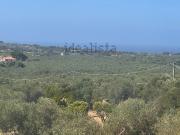 Case e ville in vendita di 619 m² in Strada San Giuliano...