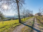 Case e ville in vendita di 627 m² in Contrada San Zenone