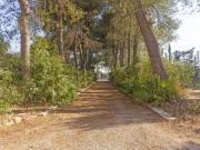 Case e ville in vendita di 630 m²