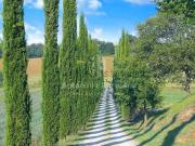 Case e ville in vendita di 779 m²