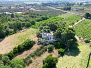 Case e ville in vendita di 790 m² in Strada Provinciale 224