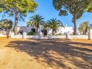 Case e ville in vendita di 800 m² in Via SP5, 39