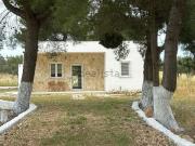 Case e ville in vendita di 80 m² in Strada Mandria Carignani