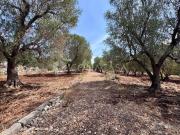 Case e ville in vendita di 90 m² in Contrada martucci