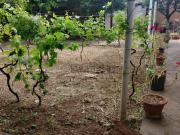 Case e ville in vendita di 98 m²