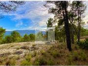CASITA DE CAMPO EN VENTA