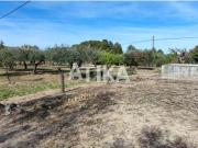 CASITA DE CAMPO TOTALMENTE PARA REFORMAR