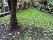 Casita geo en Arboleda chipitlan