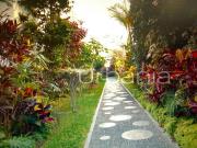 CASITA LINDA QUINTA CALLE ITALIA A 1 CUADRA DE MALECON 1...