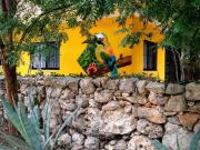 | Casita mango amueblada en renta |