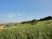 Casolare in mattoni con terreno in vendita a Cingoli