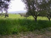 Casolare in vendita a Colonnella, Contrada Rio Moro