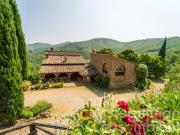 Casolare nel Chianti con dependance, piscina e 30 ha di...