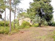 Casolare rustico situato nel comune di San Casciano dei...