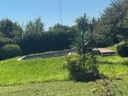 CASONA PLENO CENTRO CON TODOS LOS SERVICIOS