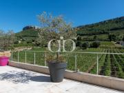 CASSIS / MAISON CONTEMPORAINE AU MILIEU DES VIGNES