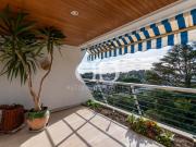 CASSIS / RARE / A VOIR RAPIDEMENT