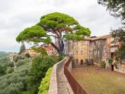 Castello in vendita di 2100 m² in Via Roma