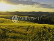 Castelnuovo Berardenga Azienda vitivinicola di 500...