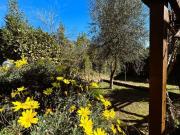 Castelnuovo di Porto 5 vani 160mq