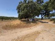 Castelo Branco Castelo Branco 6000 730 96324451