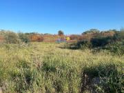 Castelo Branco Castelo Branco 62514330