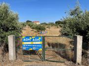 Castelo Branco Castelo Branco 67617302