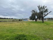Castelo Branco Castelo Branco 72834301