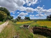 Castelo Branco Castelo Branco 78384736