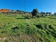 Castelo Branco Castelo Branco 78728934 Castelo Branco Castelo Branco 78728934