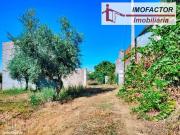 Castelo Branco Castelo Branco 80692943