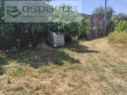 Castelo Branco Castelo Branco 84516457