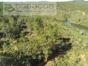 Castelo Branco Castelo Branco 84597407