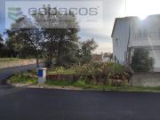 Castelo Branco Castelo Branco 84643555