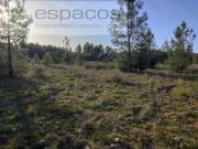 Castelo Branco Castelo Branco 84870375