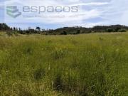 Castelo Branco Castelo Branco 85952208