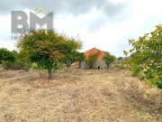 Castelo Branco Castelo Branco 87044803