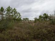 Castelo Branco Castelo Branco 87045005