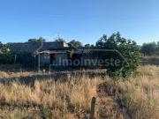 Castelo Branco Castelo Branco 87079681